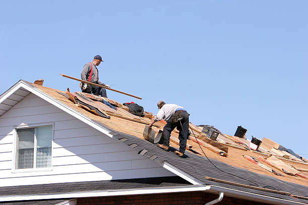 Best Asphalt Shingles Roofing  in Mounds View, MN